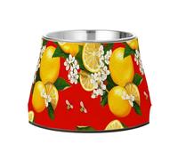 Feed Dog Bowl Enhanced Stainless Steel Pets Bowl Stand for Slow Feed Cats Whisker Relief Cartoon Yuzu Fruit