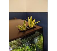 Feed Hole Lid Planter suitable for Fluval Flex 34L/ 57L (White, 34L)