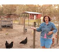 Feed Your Chickens Grit So They Lay Eggs All Year