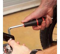 Feedback L-handle Hex Tool 10 mm Black