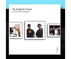 Feedback Project, The - Crisis of Perception
