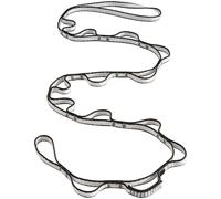 Feeder chain Black Diamond Dynex 12 mm/115 cm