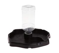 Feeder Drinker Food Dish Dual-dish Auto Feeding Drinking For Tortoise Corn Snakes For F Supplies Pet Supplies Pet Amphibians Health Turtle Cats Grooming