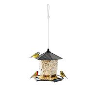Feeder for | Squirrel Proof Hanging Food Dispenser - Large Feeder with Perch Tray | for Outdoor Feeding 'Water in the Backyard of a