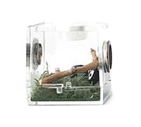 Feeder - Reptile Habitat Cage Acrylic | Watching Box for Spiders, Crickets, Snails, Hermit Crabs, Tarantulas, Geckos - Perfect Terrarium for Small Pets