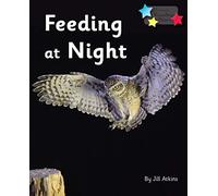 Feeding at Night: Phonics Phase 3 (Reading Stars Phonics)