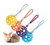 Feeding Balls with Bunny Hay | Bunny Hay Feeder | 4 Pieces Hay Feeder Small Animal Grass Dispenser | Kotieletie with Cord for M