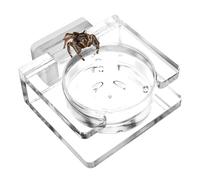Feeding Bowl for Reptiles - Transparent Acrylic Bowl, Magnetic Water Container, Jumping Spider, Tarantula, Small, Feeding Accessories for Habitat Enclosures for a Smooth What