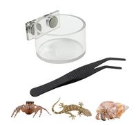 Feeding Dish for Jumping Spiders - Water and Food Dispenser for Terrariums, Includes Tongs and Terrarium Decoration, for Mantis, Hermit, Lizards,