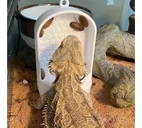 Feeding System and Dish for Live Food Designed for Lizards, Frogs, Geckos, and Chameleons a Secure Plastic Feeding Tank with a Hanging Feature, Insect Holder, Design a Safe Meal。 (White)