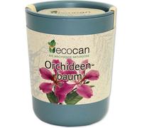 Feel Green Ecocan "Orchid Tree" - 1 item