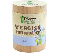 Feel Green "Forget-me-not" Pflanzy - 1 item