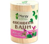 Feel Green "Orchid Tree" Pflanzy - 1 item