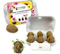 Feel Green "Quail Egg" Seed Eggs - 6 items