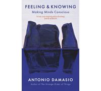 Feeling and Knowing : Making Minds Conscious
