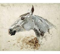 Feeling at home Image on ROLLED CANVAS Testo Di Cavallo Toulouse-Lautrec Henri - Animals horizontal Art print animals horses portraits animals portraits Canvas fine art 19_X_24_in