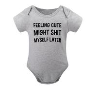 Feeling Cute Might Shit Myself Later Baby Bodysuit Funny Sarcastic Graphic Novelty Jumper for Infants Gray-style-1 3months