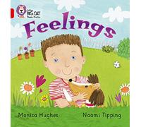 Feelings: A gentle non-fiction book which examines feelings (Collins Big Cat Phonics)
