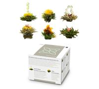 Feelino Tea flowers 6 different varieties