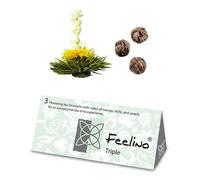 Feelino Tea flowers 6 different varieties