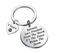 FEELMEM 1 Year 6 Months 2 Years 3 Years Sobriety Anniversary Keychain AA Recovery Serenity Prayer Sobriety Gift Serenity Peace Within The Storm New Beginnings Jewelry for Men Women