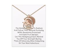 FEELMEM Hedgehog Necklace Cute Animal Love Heart Pendant Necklace for Women Hedgehog Lovers Hedgehog Mom Gift, Middle, Copper, copper