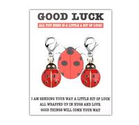 FEELMEM Ladybug Charm Zipper Pull Insert Lover Gifts Ladybug Pendant Clip on Charm Set of 2 Good Luck Gift, S, Alloy, Cubic Zirconia