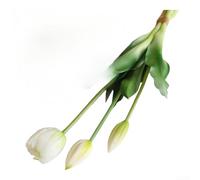 Feeshoppher 3 Headed Soft Rubber Artificial Tulip Flowers with Adjustable Stems, Realistic Fake Tulips for Wedding Home Decor Photography Floral Arrangement Bouquet, 41cm White Yell(White)