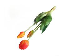 Feeshoppher 3 Headed Soft Rubber Artificial Tulip Flowers with Adjustable Stems, Realistic Fake Tulips for Wedding Home Decor Photography Floral Arrangement Bouquet, 41cm White Yell(Orange)