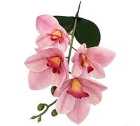 Feeshoppher 3D EVA Artificial Cymbidium Orchid Flowers with Bendable Stems, Realistic 4-Head Fake Floral Arrangement for Wedding Centerpieces, Home Decor, Party and Event Styling, 37(G)