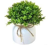 Feeshoppher Artificial Plants in Hemisphere Pot, Realistic Fake Greenery with Pine Needle Eucalyptus Mimosa Maple Leaf Design, Small Potted Plastic Foliage for Home Desk Office Table(C)