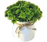Feeshoppher Artificial Plants in Hemisphere Pot, Realistic Fake Greenery with Pine Needle Eucalyptus Mimosa Maple Leaf Design, Small Potted Plastic Foliage for Home Desk Office Table(F)