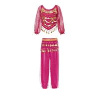 FEESHOW Girls Arabian Princess Costume Sequin Crop Tops Harem Pants with Hip Scarf Kids Shiny Belly Dance Outfit Hot Pink 9-12 Years