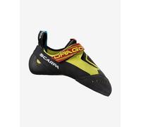 Feet of cat Scarpa Drago yellow - 45