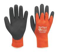 Fegemu A30-201-T11 Atg Maxitherm Model 30-201 T11