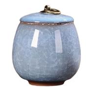 Fegtrtyoa Portable Ceramic Teapot Mini, Scented Tea, Dendrobium Teapot, Pet Urn, Jar, Powder, Ointment Light Blue