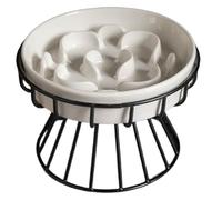 Fegtrtyoa Raised Ceramic Cat Slow Feeder Bowl, Elevated Cat Plate with Stand, Slow Bowl for Wet and Dry Food, Friendly Pet