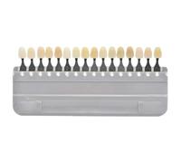 Fegtrtyoa Teeth Whitening Shade Guide 3D Teeth Whitening Shade Guide 16 Colors/Set Tooth Bleaching Shade Chart Mold Tracking& Comparing