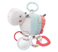 Fehn Activity Toy