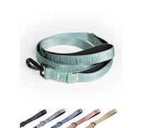 Fei and Eve Shock-Absorbing Dog Leash, Heavy Duty Leash with Padded Handle, No-Pull & Tangle-Free, for Small to Large Dogs, Glacier Green, 6FT