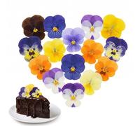 FeiatPogra 55 Count Natural Dried Edible Flowers for Cake Decorating, Pressed Real Flowers for Baking, Resin Art, Cocktail Garnish, DIY Crafts, Gift Making Supplies