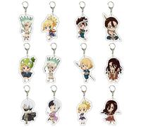FEIDIAO Dr/STONE Keychain Anime Character Ishigami Senkuu Acrylic Pendant Keyring Amber/Kohaku Chrome Figure Key Bag Pendant Accessories 12pcs