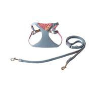 feiling Dog Harness Jeans Adjustable Chest Harness and Lead Set for Small, Medium Dogs and Cats, Multifunctional Lead, 125 cm, Lightweight Cat Harness (Red, XXS)