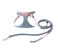 feiling Dog Harness Jeans Adjustable Chest Harness and Lead Set for Small, Medium Dogs and Cats, Multifunctional Lead, 125 cm, Lightweight Cat Harness (Pink, M)