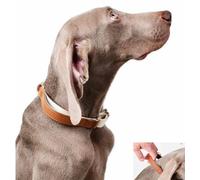 feiling Leather Dog Collar with Handle, Click Closure, Adjustable Dog Necklace for Medium and Large Dogs (Brown, L)