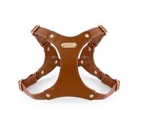 Feiling Leather Dog Harness, Waterproof Chest Harness, Adjustable Cat Harness, Soft for Small and Medium Dogs (Brown, M)
