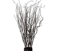 FeiLix 10PCS Artificial Branches Decorative Dry Twigs, 30.7 Inches Fake Greenery Plants Indoor Outdoor Vintage Vines/Stems for Home Garden Hotel Office Party Kitchen Decorations