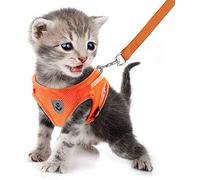 FEimaX Cat Dog Harness and Leash Set, No Pull Soft Mesh Pet Harness for Walking Escape Proof Small Cat Step-in Adjustable Vest with Reflective Strap Fit Puppy Kitten Rabbit