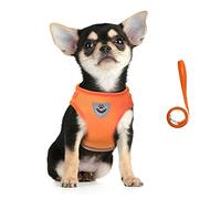 FEimaX Dog Harness and Leash Set, No Pull Reflective Adjustable Pet Vest Harness for Puppy Kitten, Breathable Soft Mesh Fabric, Escape Proof Cat Jacket for Outdoor Walking, Training