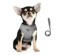 FEimaX Dog Harness and Leash Set, No Pull Reflective Adjustable Pet Vest Harness for Puppy Kitten, Breathable Soft Mesh Fabric, Escape Proof Cat Jacket for Outdoor Walking, Training